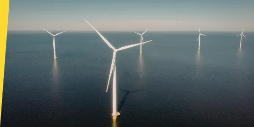 R&D and Innovation Priorities to Support Offshore Renewable Energy development
